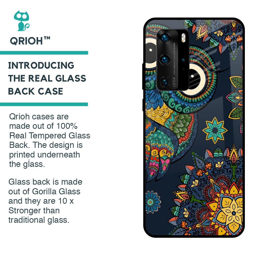 Owl Art Glass Case for Huawei P40 Pro