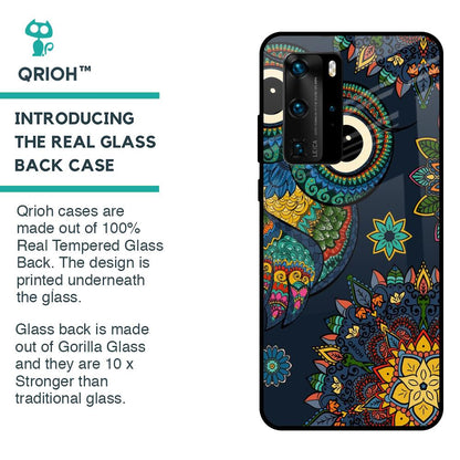 Owl Art Glass Case for Huawei P40 Pro
