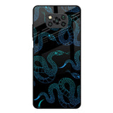 Serpentine Poco X3 Glass Back Cover Online