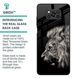 Brave Lion Glass Case for Poco X3