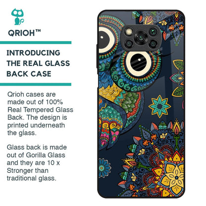 Owl Art Glass Case for Poco X3