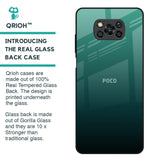 Palm Green Glass Case For Poco X3