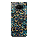 Peacock Feathers Poco X3 Glass Cases & Covers Online