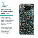 Peacock Feathers Glass case for Poco X3