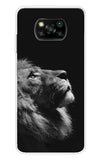 Lion Looking to Sky Poco X3 Back Cover