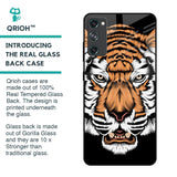 Angry Tiger Glass Case For Samsung Galaxy S20 FE