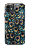 Peacock Feathers iPhone 12 Glass Cases & Covers Online