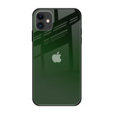 Deep Forest iPhone 12 Glass Back Cover Online