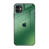 Green Grunge Texture iPhone 12 Glass Back Cover Online