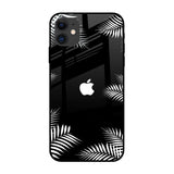 Zealand Fern Design iPhone 12 Glass Back Cover Online