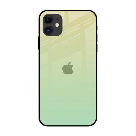 Mint Green Gradient iPhone 12 Glass Back Cover Online