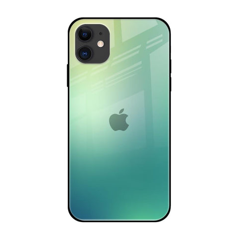 Dusty Green iPhone 12 Glass Back Cover Online