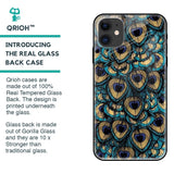 Peacock Feathers Glass case for iPhone 12