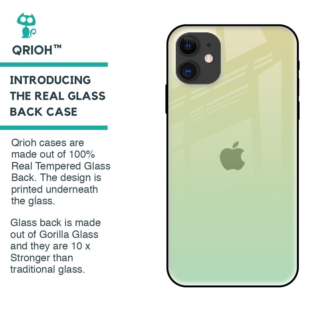 Mint Green Gradient Glass Case for iPhone 12