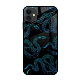 Serpentine iPhone 12 mini Glass Back Cover Online