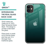 Palm Green Glass Case For iPhone 12 mini
