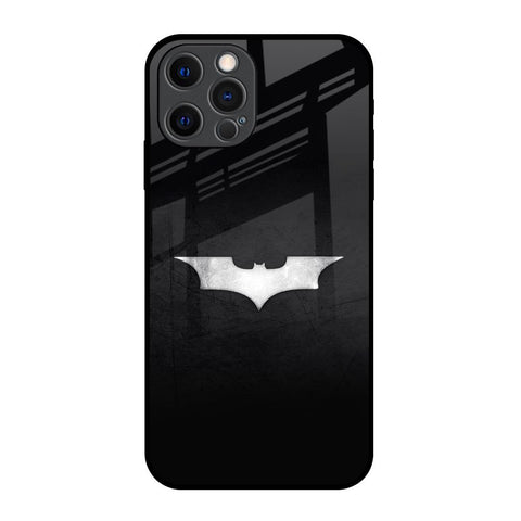 Super Hero Logo iPhone 12 Pro Glass Back Cover Online