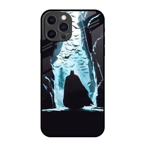 Dark Man In Cave iPhone 12 Pro Glass Back Cover Online