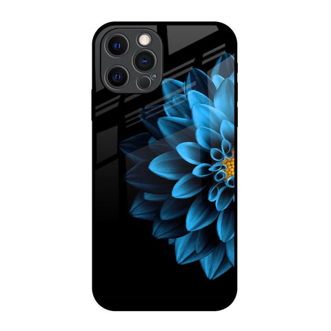Half Blue Flower iPhone 12 Pro Glass Back Cover Online