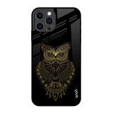 Golden Owl iPhone 12 Pro Glass Back Cover Online