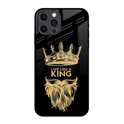 King Life iPhone 12 Pro Glass Back Cover Online