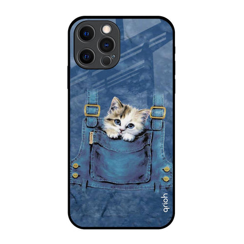 Kitty In Pocket iPhone 12 Pro Glass Back Cover Online