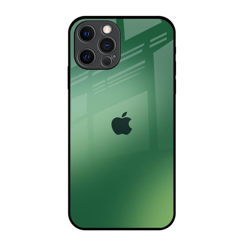 Green Grunge Texture iPhone 12 Pro Glass Back Cover Online
