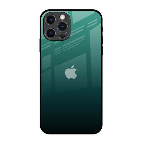 Palm Green iPhone 12 Pro Glass Back Cover Online