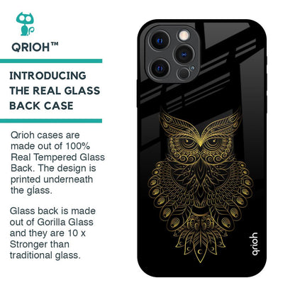 Golden Owl Glass Case for iPhone 12 Pro