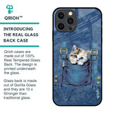 Kitty In Pocket Glass Case For iPhone 12 Pro