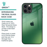 Green Grunge Texture Glass Case for iPhone 12 Pro