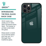 Olive Glass Case for iPhone 12 Pro
