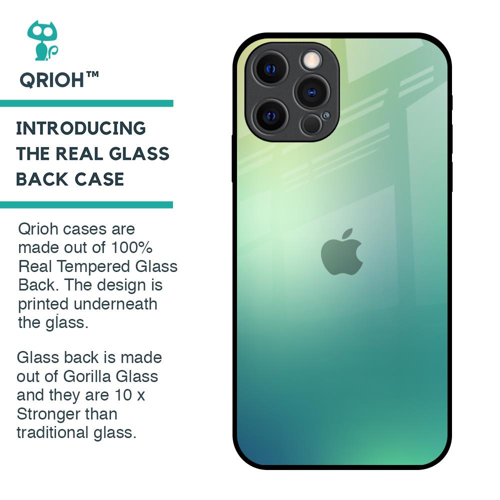 Dusty Green Glass Case for iPhone 12 Pro
