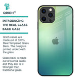 Dusty Green Glass Case for iPhone 12 Pro