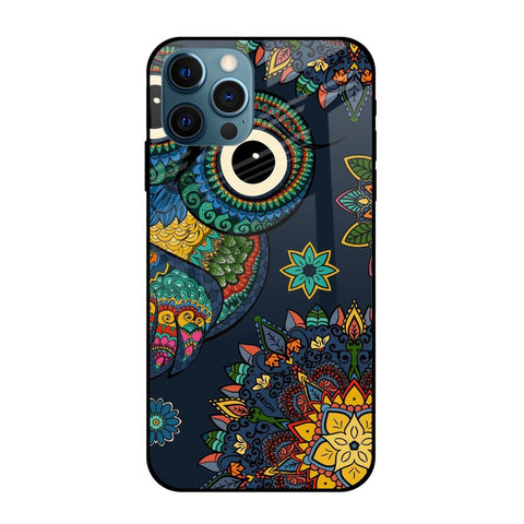 Owl Art Apple iPhone 12 Pro Glass Cases & Covers Online