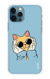 Attitude Cat iPhone 12 Pro Back Cover