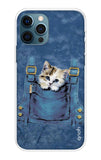 Hide N Seek iPhone 12 Pro Back Cover