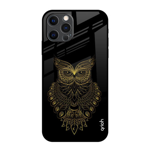 Golden Owl iPhone 12 Pro Max Glass Back Cover Online