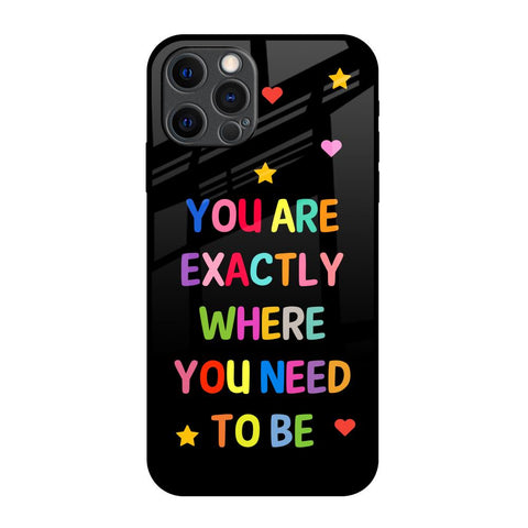Magical Words iPhone 12 Pro Max Glass Back Cover Online