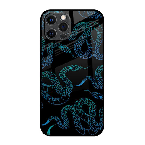 Serpentine iPhone 12 Pro Max Glass Back Cover Online