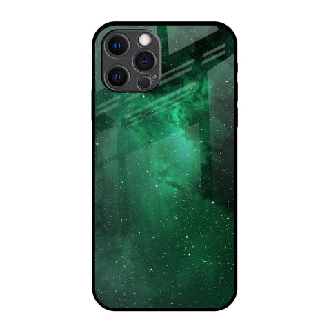 Emerald Firefly iPhone 12 Pro Max Glass Back Cover Online