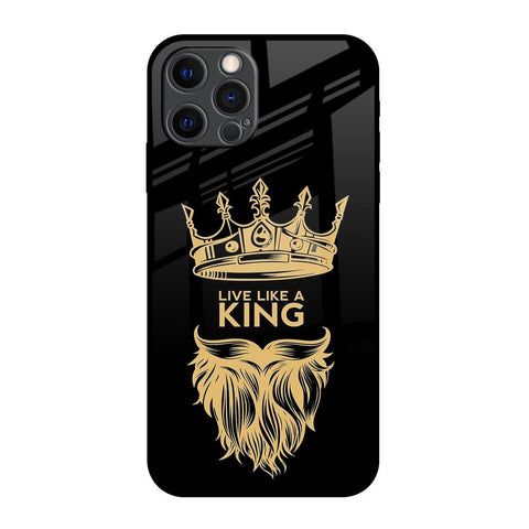 King Life iPhone 12 Pro Max Glass Back Cover Online