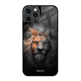 Devil Lion iPhone 12 Pro Max Glass Back Cover Online