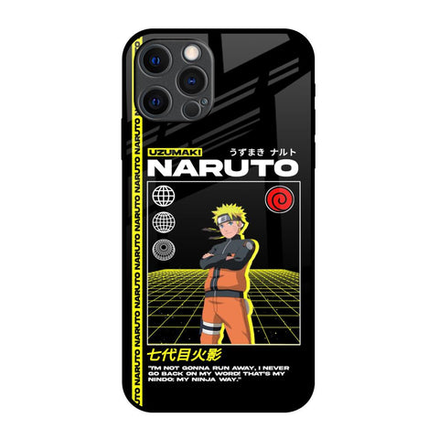 Ninja Way iPhone 12 Pro Max Glass Back Cover Online