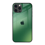 Green Grunge Texture iPhone 12 Pro Max Glass Back Cover Online