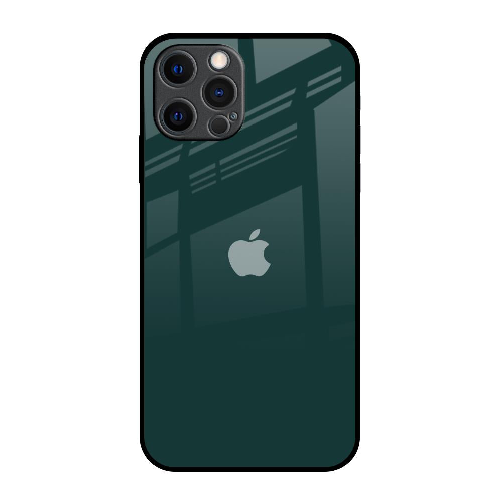 Olive iPhone 12 Pro Max Glass Back Cover Online