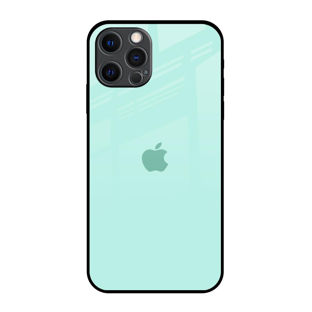 Teal iPhone 12 Pro Max Glass Back Cover Online
