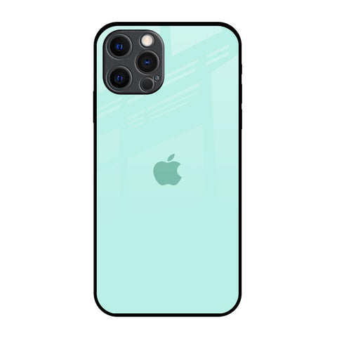 Teal iPhone 12 Pro Max Glass Back Cover Online