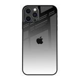 Zebra Gradient iPhone 12 Pro Max Glass Back Cover Online