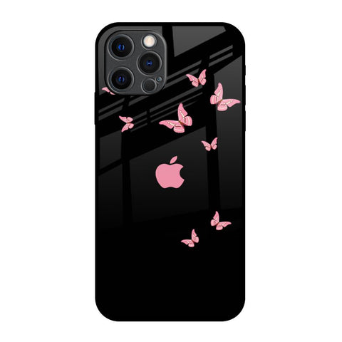 Fly Butterfly iPhone 12 Pro Max Glass Back Cover Online